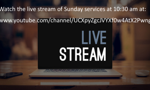 LIVE STREAMING of SERVICES